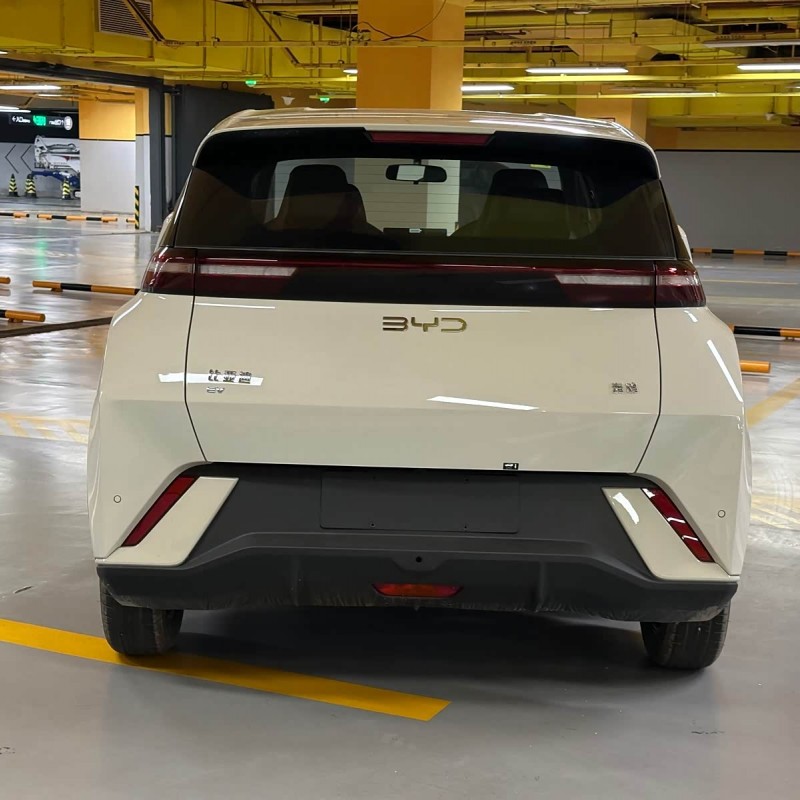 Seagull 2025 Smart Driving Edition 305km Vitality Edition Seagull 2025 Smart Driving Edition 305km Vitality Edition