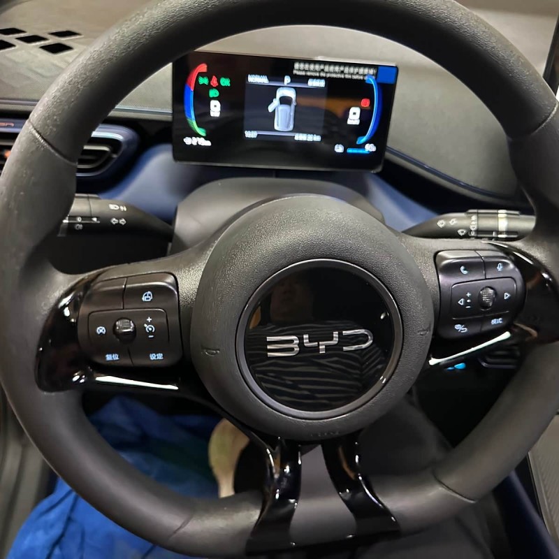 Seagull 2025 Smart Driving Edition 305km Vitality Edition Seagull 2025 Smart Driving Edition 305km Vitality Edition