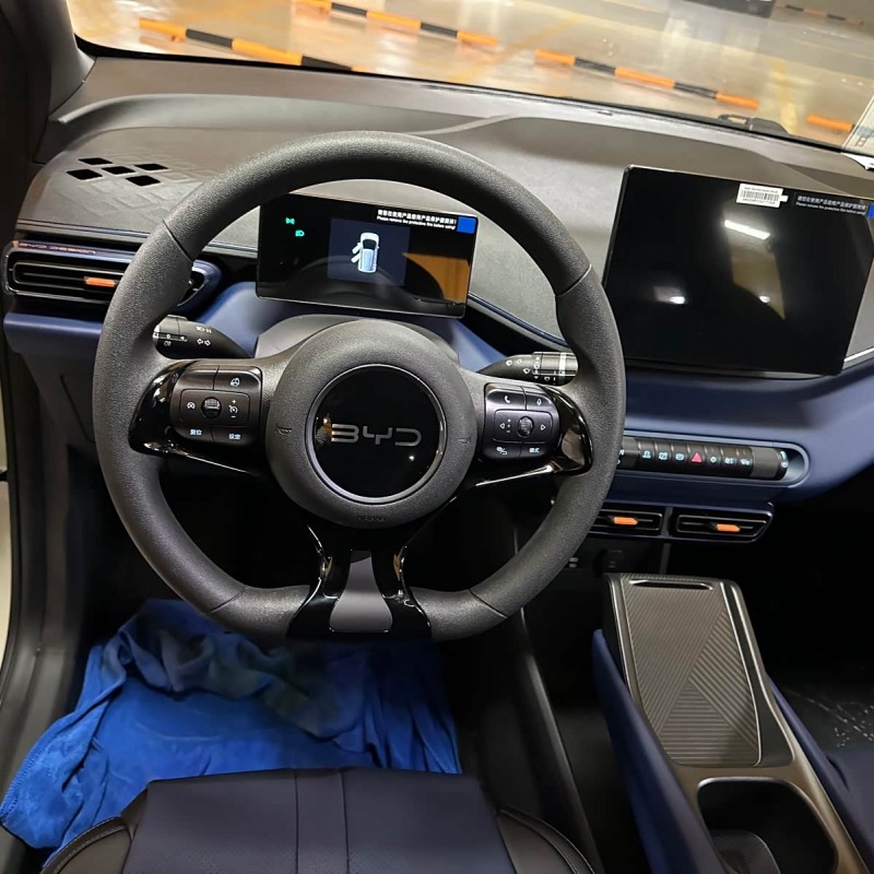 Seagull 2025 Smart Driving Edition 305km Vitality Edition Seagull 2025 Smart Driving Edition 305km Vitality Edition