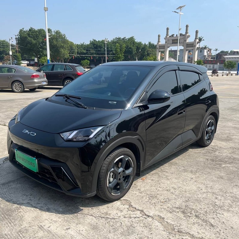 Seagull 2023 Vitality Edition Seagull 2023 Vitality Edition