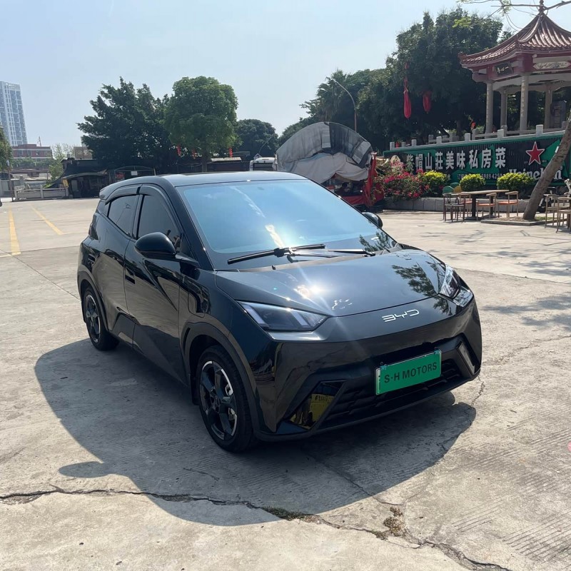 Seagull 2023 Vitality Edition Seagull 2023 Vitality Edition