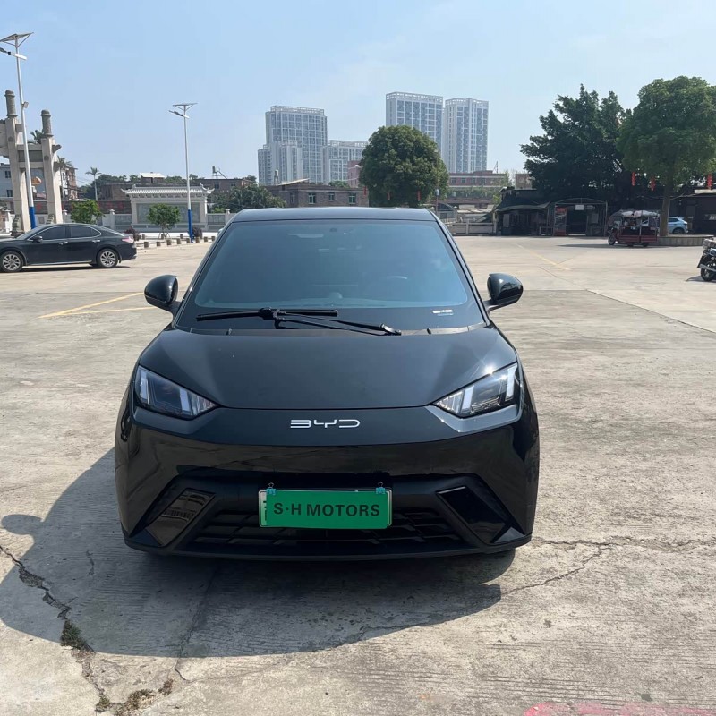 Seagull 2023 Vitality Edition Seagull 2023 Vitality Edition