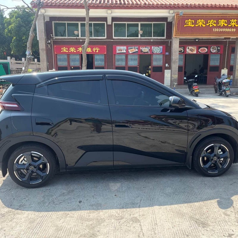 Seagull 2023 Vitality Edition Seagull 2023 Vitality Edition