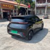Seagull 2023 Vitality Edition Seagull 2023 Vitality Edition