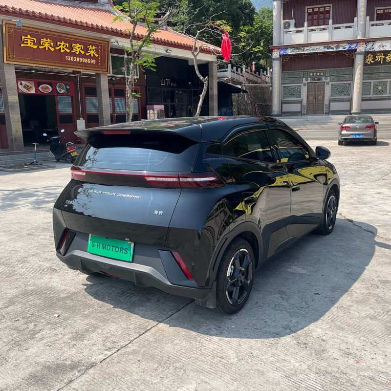 Seagull 2023 Vitality Edition Seagull 2023 Vitality Edition