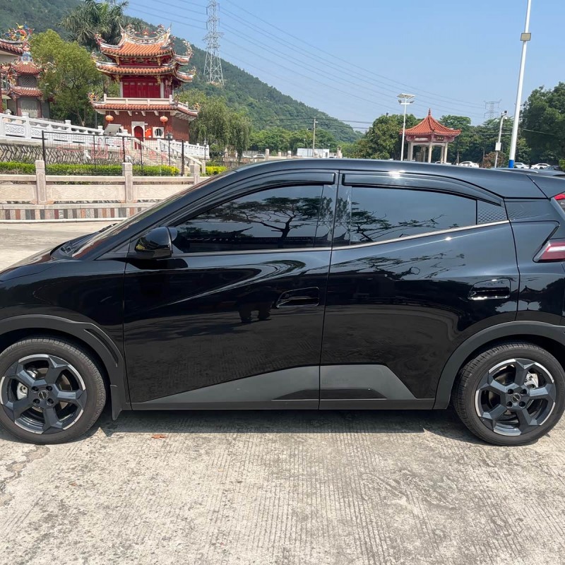 Seagull 2023 Vitality Edition Seagull 2023 Vitality Edition