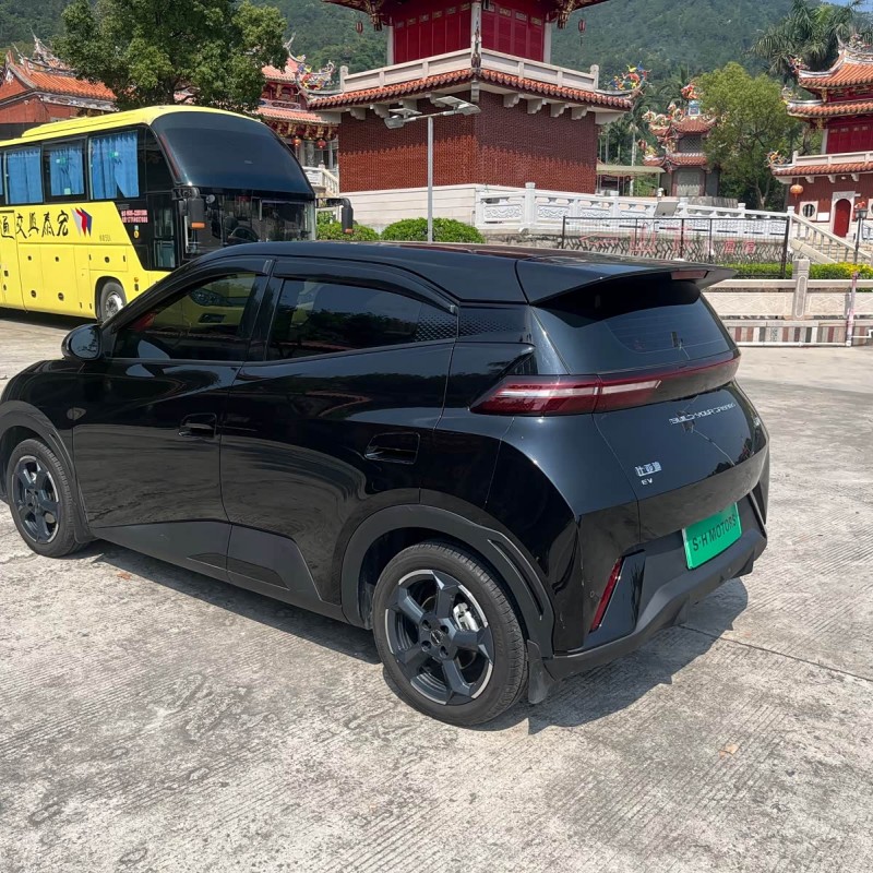 Seagull 2023 Vitality Edition Seagull 2023 Vitality Edition