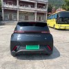 Seagull 2023 Vitality Edition Seagull 2023 Vitality Edition