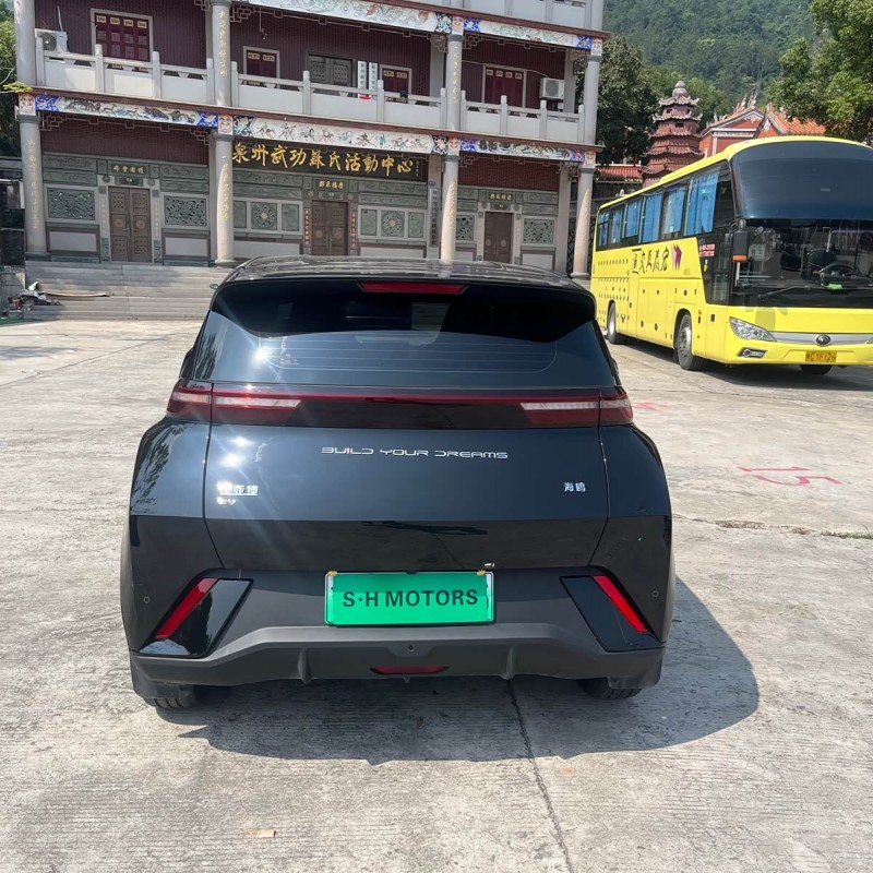 Seagull 2023 Vitality Edition Seagull 2023 Vitality Edition
