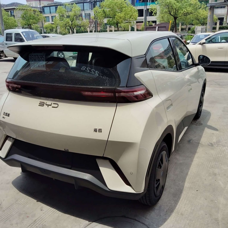 Seagull 2025 305km Vitality Edition Seagull 2025 305km Vitality Edition