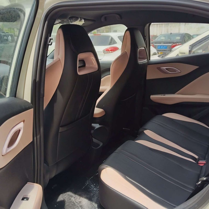 Seagull 2025 305km Vitality Edition Seagull 2025 305km Vitality Edition