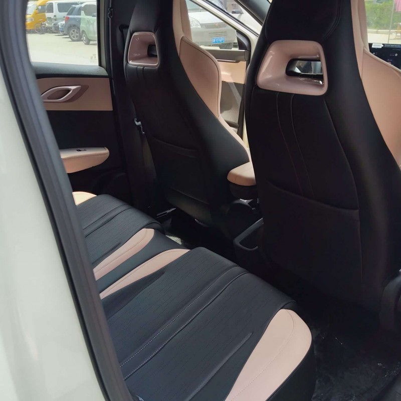 Seagull 2025 305km Vitality Edition Seagull 2025 305km Vitality Edition