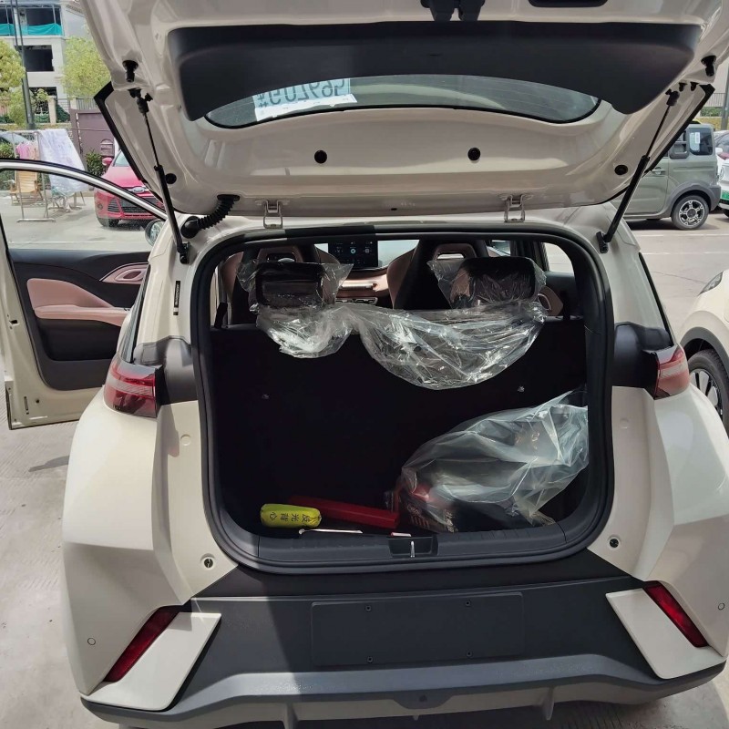 Seagull 2025 305km Vitality Edition Seagull 2025 305km Vitality Edition