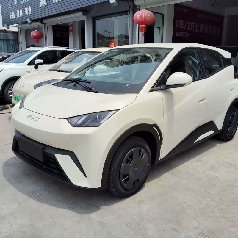 Seagull 2025 305km Vitality Edition Seagull 2025 305km Vitality Edition