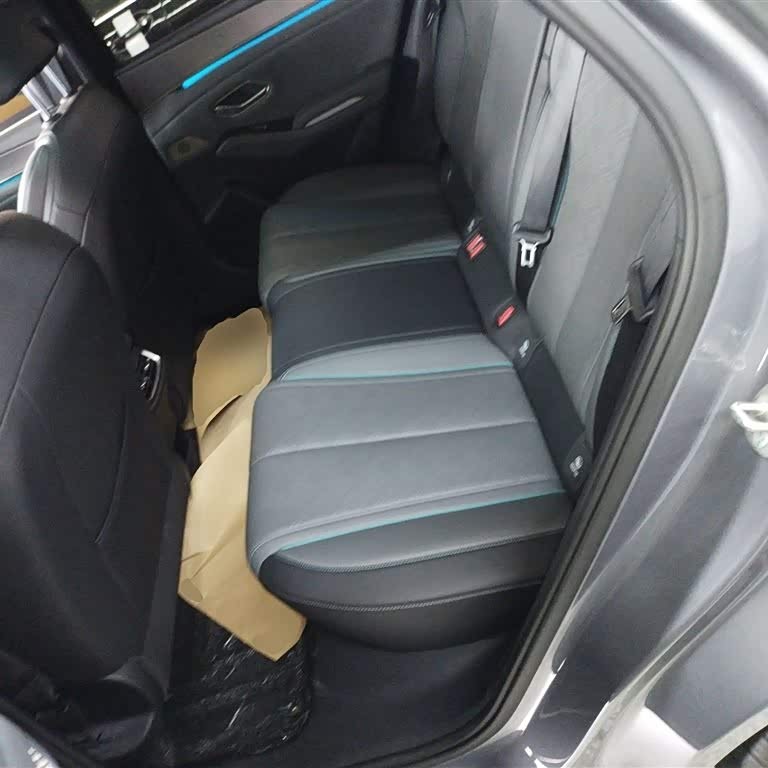 Qin L 2024 DM-i 120KM Excellence Edition Qin L 2024 DM-i 120KM Excellence Edition