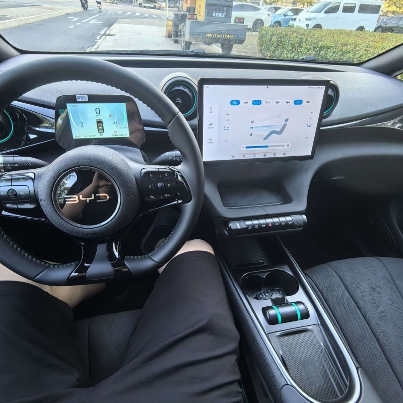 Dolphin 2025 420km Fashion Edition Dolphin 2025 420km Fashion Edition
