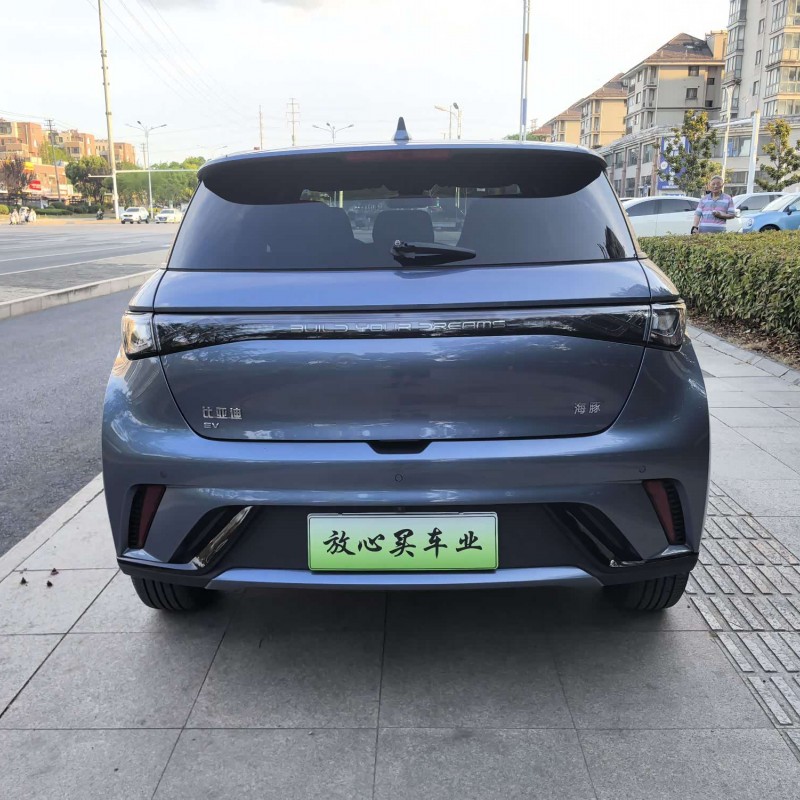 Dolphin 2025 420km Fashion Edition Dolphin 2025 420km Fashion Edition