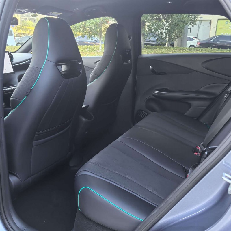 Dolphin 2025 420km Fashion Edition Dolphin 2025 420km Fashion Edition