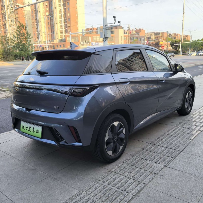 Dolphin 2025 420km Fashion Edition Dolphin 2025 420km Fashion Edition
