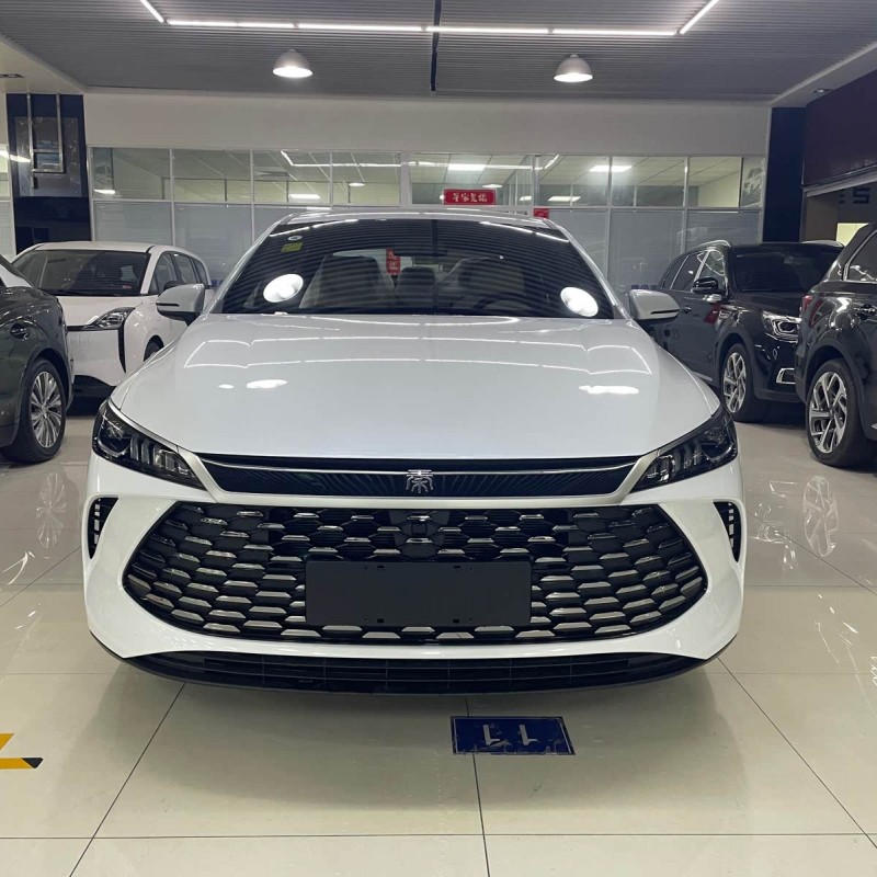 Qin PLUS 2025 DM-i Intelligent Driving Edition 55KM Leading Edition