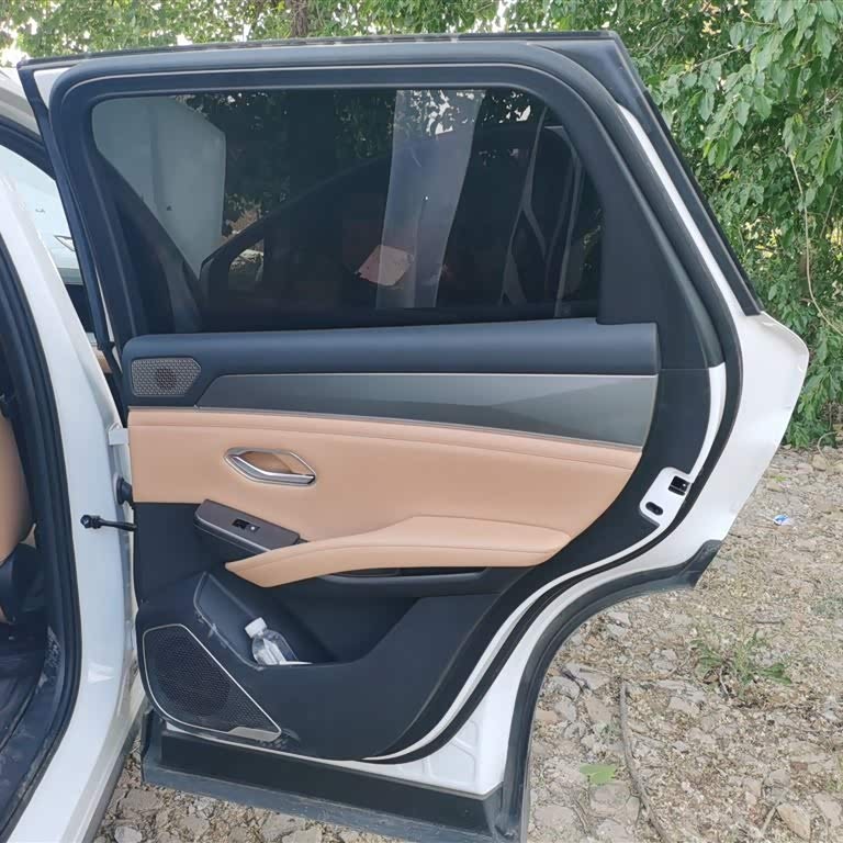 Song L DM-i 2024 model 112km surpassing model Song L DM-i 2024 model 112km surpassing model