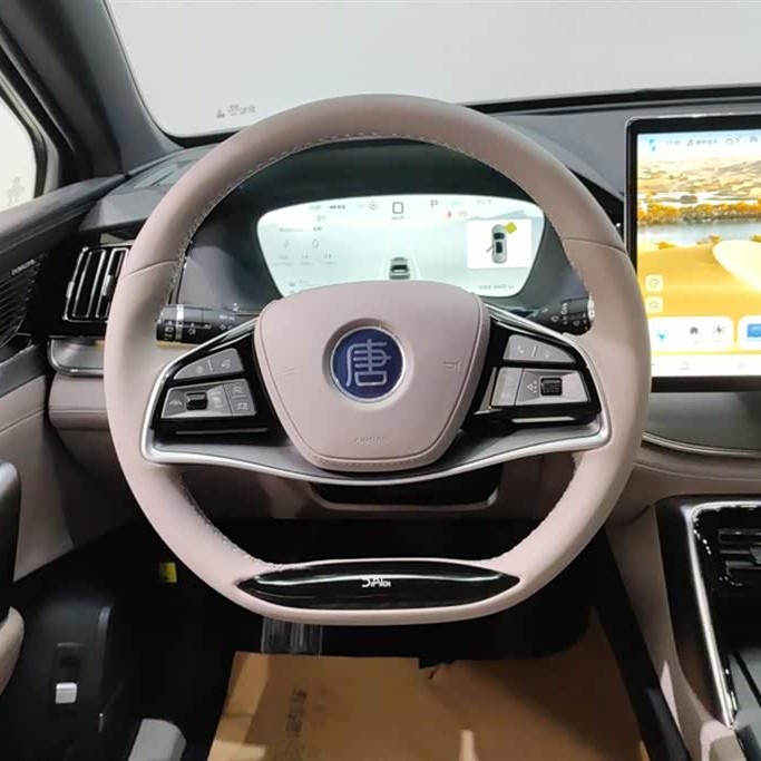 Tang New Energy 2025 DM-i 115KM Premium Edition Tang New Energy 2025 DM-i 115KM Premium Edition