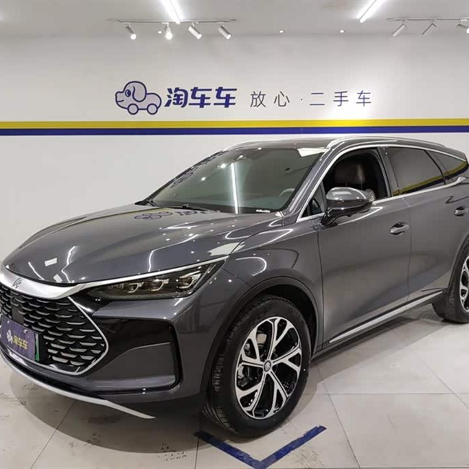Tang New Energy 2025 DM-i 115KM Premium Edition Tang New Energy 2025 DM-i 115KM Premium Edition