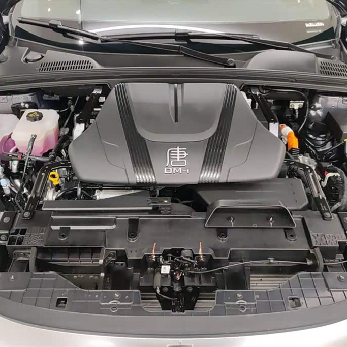 Tang New Energy 2025 DM-i 115KM Premium Edition Tang New Energy 2025 DM-i 115KM Premium Edition