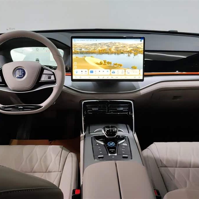 Tang New Energy 2025 DM-i 115KM Premium Edition Tang New Energy 2025 DM-i 115KM Premium Edition