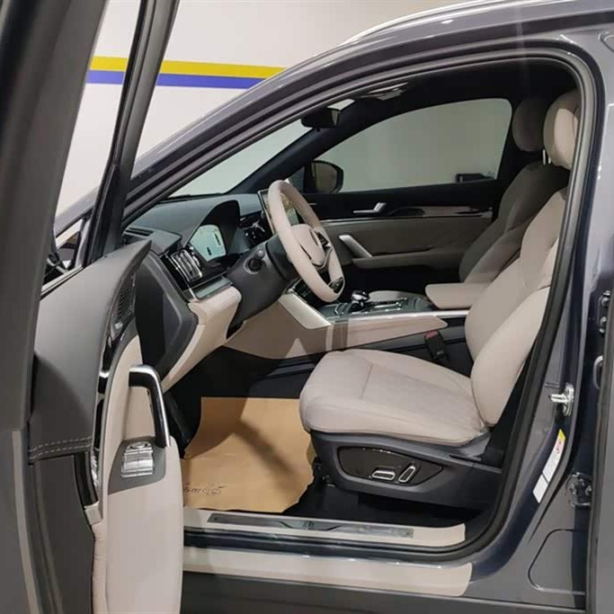 Tang New Energy 2025 DM-i 115KM Premium Edition Tang New Energy 2025 DM-i 115KM Premium Edition