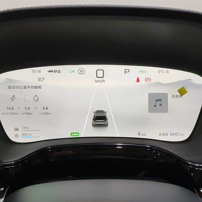 Tang New Energy 2025 DM-i 115KM Premium Edition Tang New Energy 2025 DM-i 115KM Premium Edition