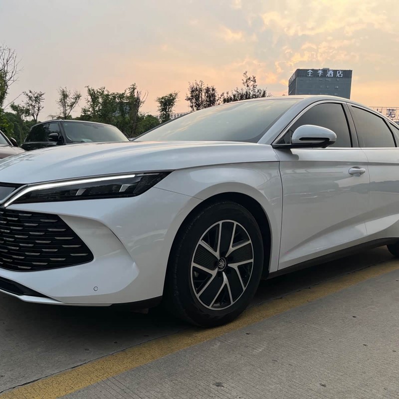 Qin L 2024 DM-i 80KM Beyond Edition