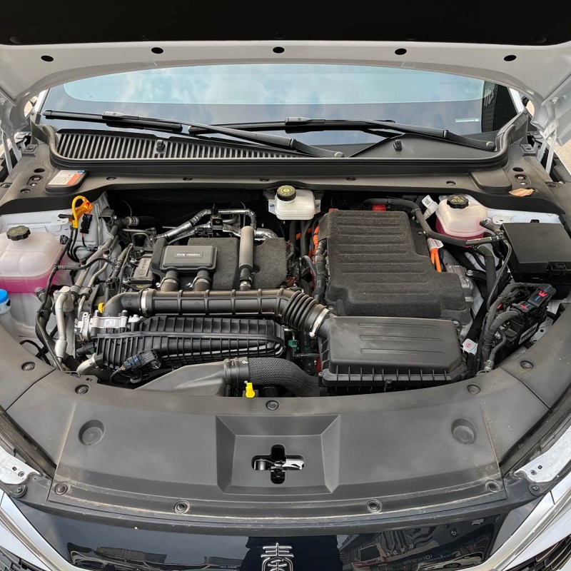 Qin L 2024 DM-i 80KM Beyond Edition Qin L 2024 DM-i 80KM Beyond Edition