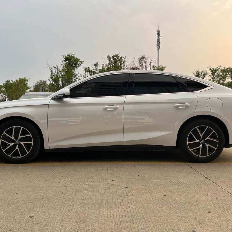 Qin L 2024 DM-i 80KM Beyond Edition Qin L 2024 DM-i 80KM Beyond Edition
