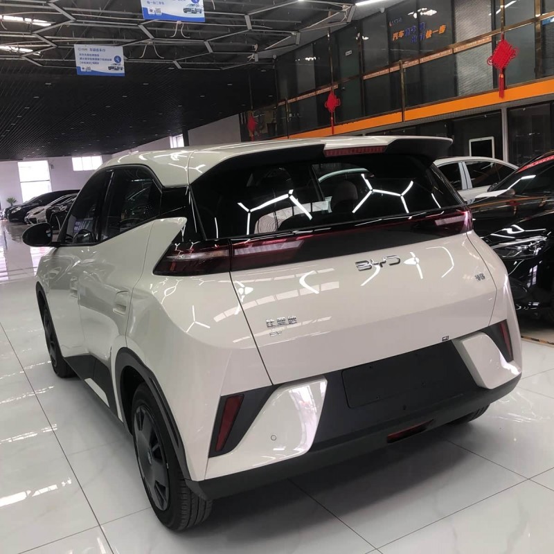 Seagull 2025 Smart Driving Edition 305km Vitality Edition Seagull 2025 Smart Driving Edition 305km Vitality Edition