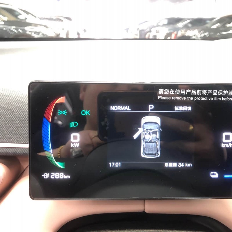 Seagull 2025 Smart Driving Edition 305km Vitality Edition Seagull 2025 Smart Driving Edition 305km Vitality Edition