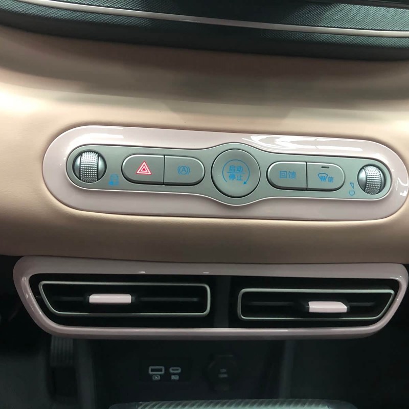 Seagull 2025 Smart Driving Edition 305km Vitality Edition Seagull 2025 Smart Driving Edition 305km Vitality Edition