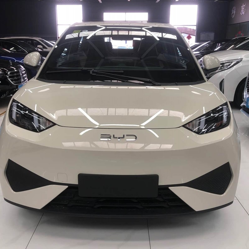 Seagull 2025 Smart Driving Edition 305km Vitality Edition
