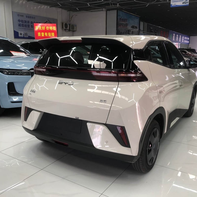 Seagull 2025 Smart Driving Edition 305km Vitality Edition Seagull 2025 Smart Driving Edition 305km Vitality Edition