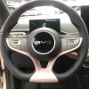 Seagull 2025 Smart Driving Edition 305km Vitality Edition