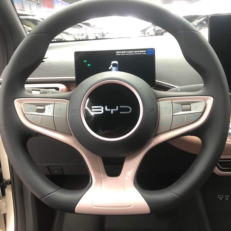 Seagull 2025 Smart Driving Edition 305km Vitality Edition Seagull 2025 Smart Driving Edition 305km Vitality Edition
