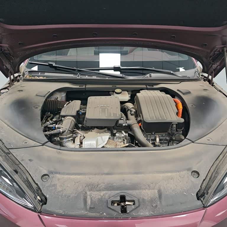 2023 Haima DM-i 1.5T 121km Premium Edition 2023 Haima DM-i 1.5T 121km Premium Edition