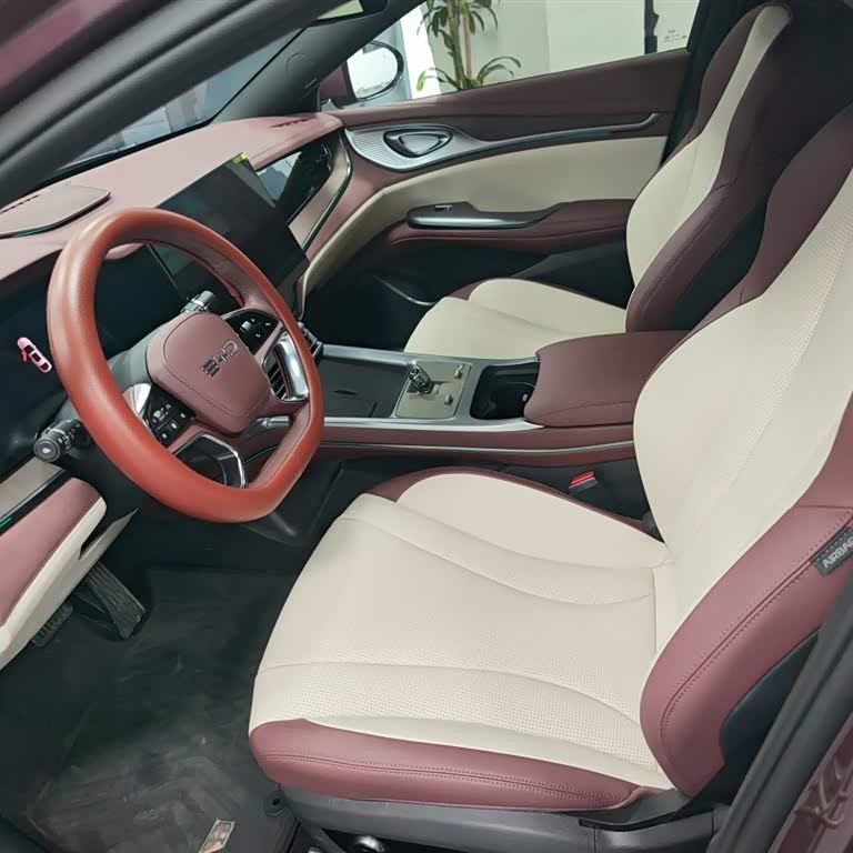 2023 Haima DM-i 1.5T 121km Premium Edition 2023 Haima DM-i 1.5T 121km Premium Edition