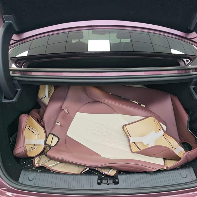 2023 Haima DM-i 1.5T 121km Premium Edition 2023 Haima DM-i 1.5T 121km Premium Edition