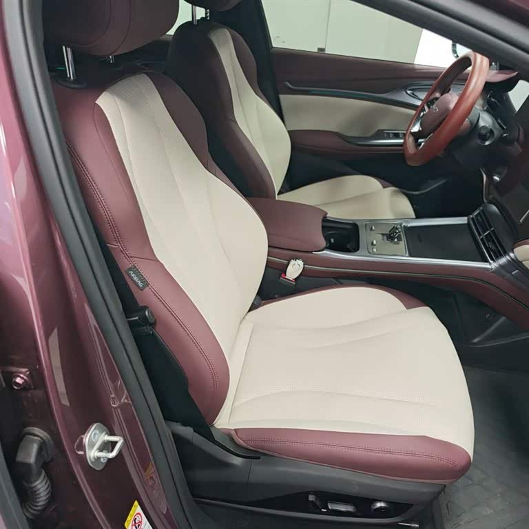 2023 Haima DM-i 1.5T 121km Premium Edition 2023 Haima DM-i 1.5T 121km Premium Edition