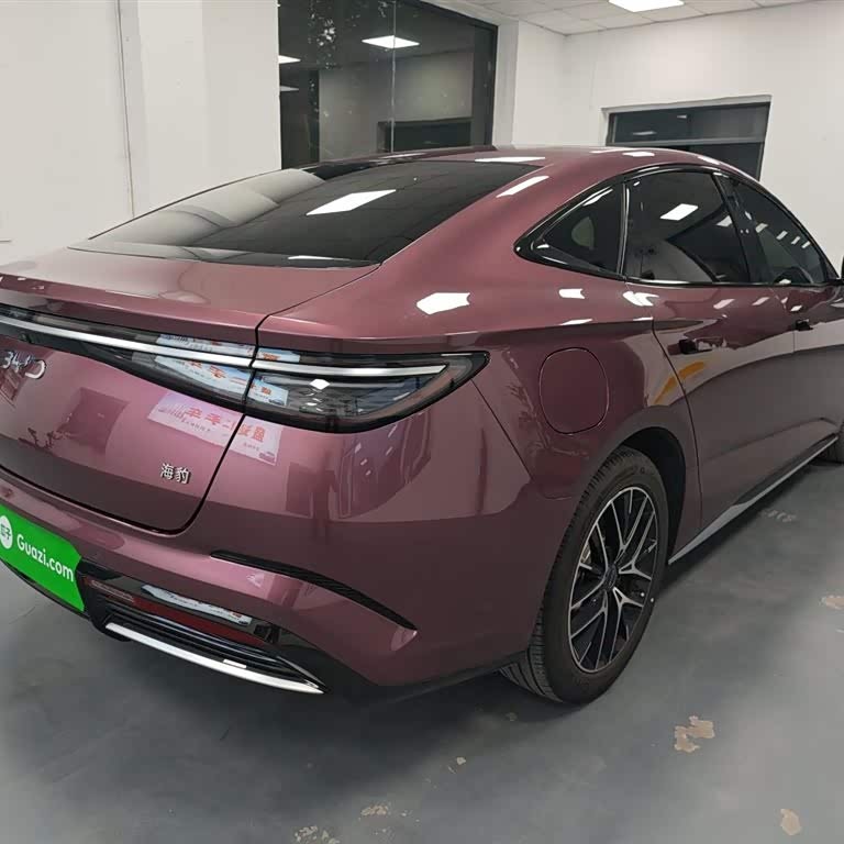 2023 Haima DM-i 1.5T 121km Premium Edition 2023 Haima DM-i 1.5T 121km Premium Edition