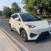 Seagull 2025 Smart Driving Edition 305km Free Edition