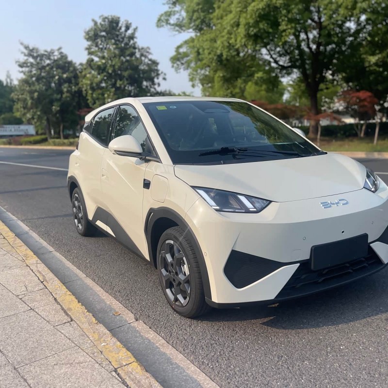 Seagull 2025 Smart Driving Edition 305km Free Edition Seagull 2025 Smart Driving Edition 305km Free Edition