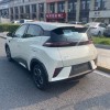 Seagull 2025 Smart Driving Edition 305km Free Edition