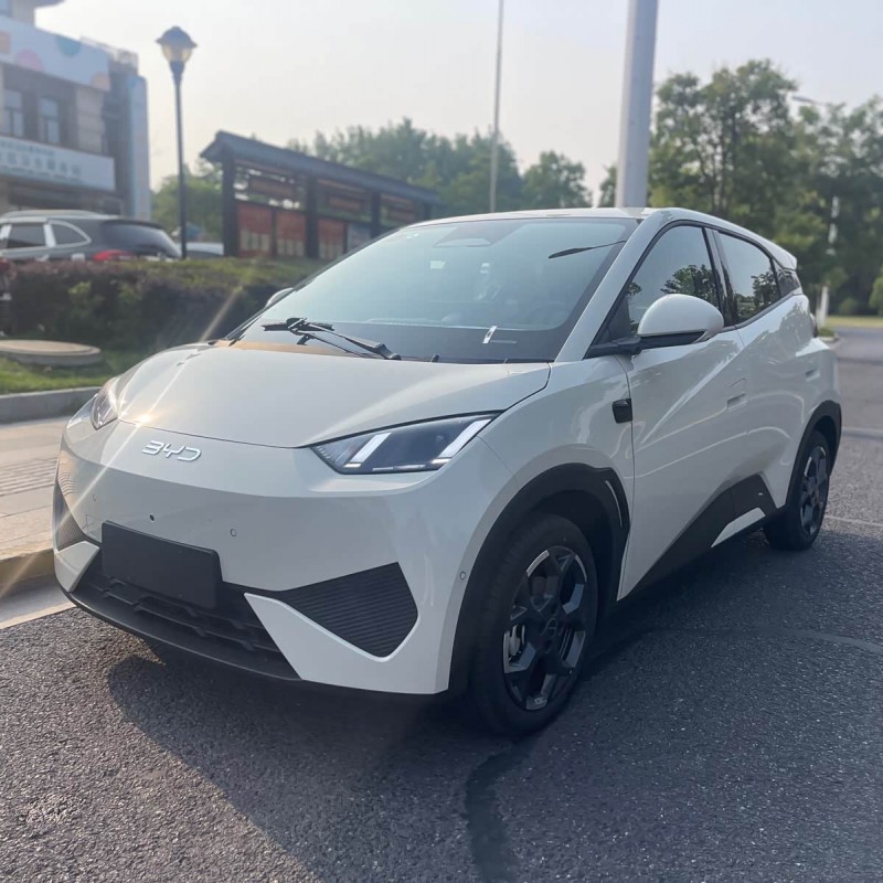 Seagull 2025 Smart Driving Edition 305km Free Edition